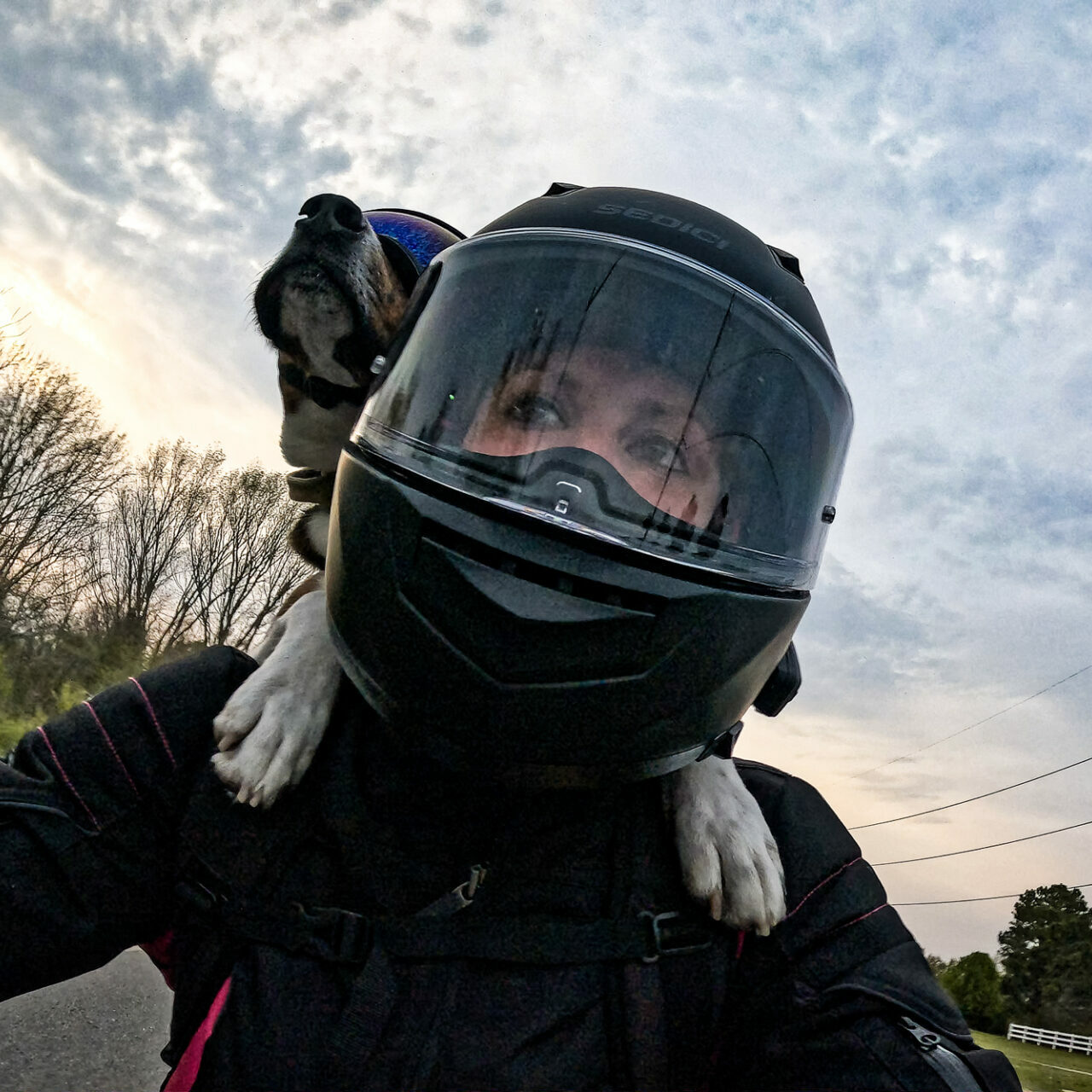 Rachael and her dog riding on motorcycle